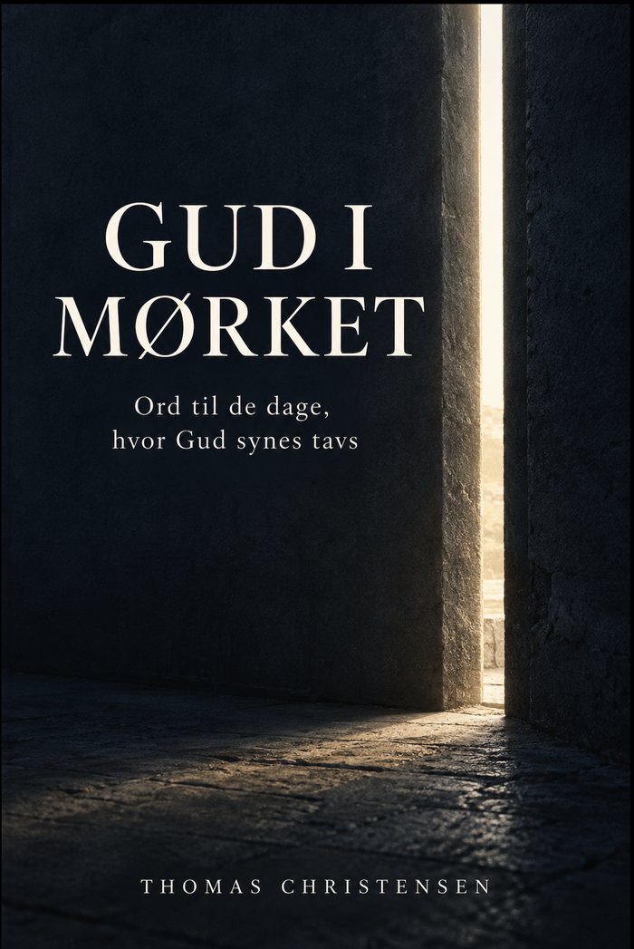 Gud i mørket af Thomas Christensen